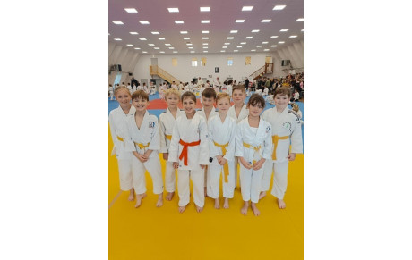 Pré-poussins et poussins 15 novembre